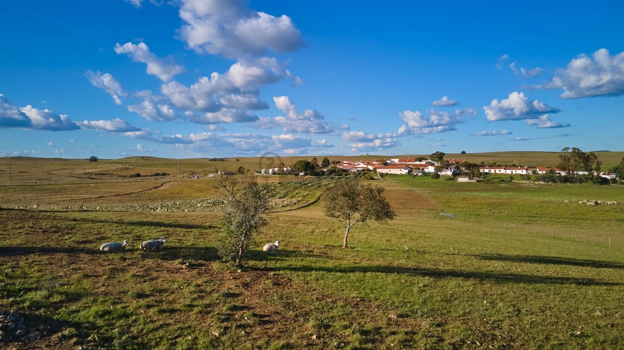 Terreno Agricola ou Rústico para Venda em São Marcos da Ataboeira Foto 32
