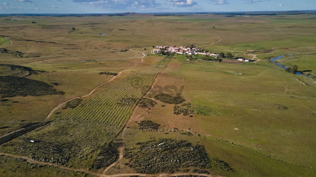 Terreno Agricola ou Rústico para Venda em São Marcos da Ataboeira Foto 9