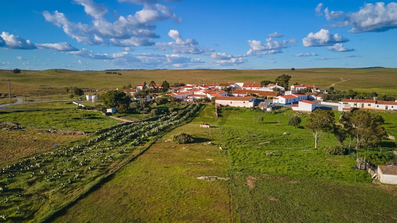 Terreno Agricola ou Rústico para Venda em São Marcos da Ataboeira Foto 31