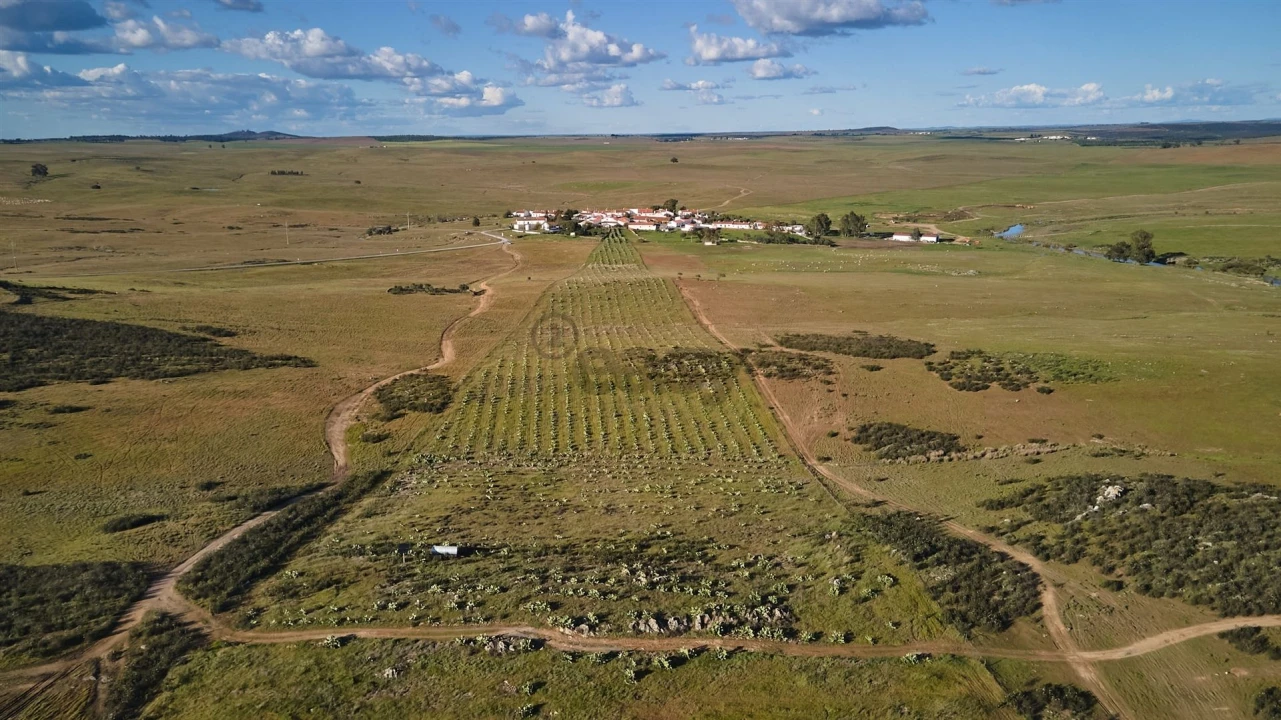 Terreno Agricola ou Rústico para Venda em São Marcos da Ataboeira Foto 7