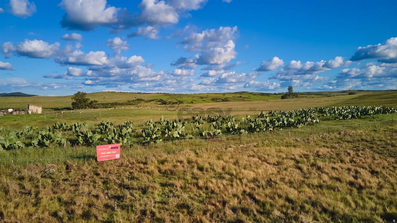 Terreno Agricola ou Rústico para Venda em São Marcos da Ataboeira Foto 39