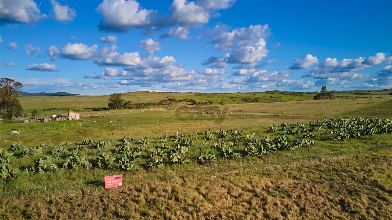 Terreno Agricola ou Rústico para Venda em São Marcos da Ataboeira Foto 35
