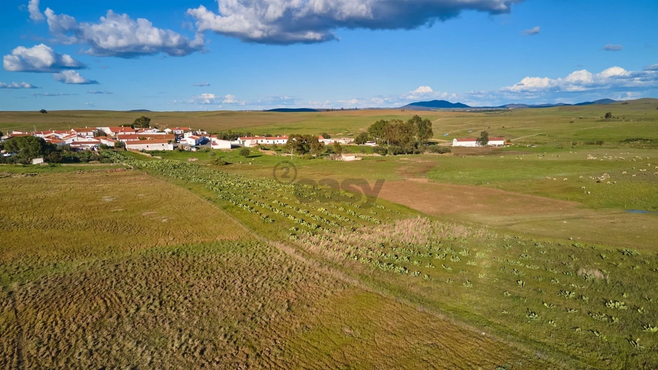 Terreno Agricola ou Rústico para Venda em São Marcos da Ataboeira Foto 29
