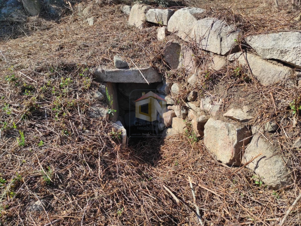 Terreno Agricola ou Rústico para Venda em Escalos de Cima e Lousa Foto 14