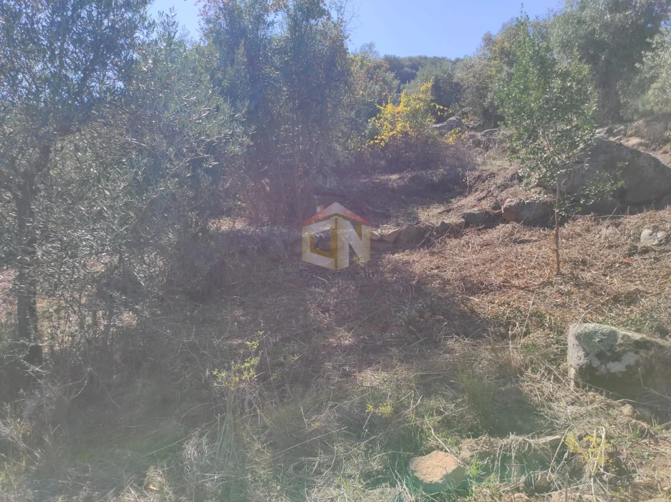 Terreno Agricola ou Rústico para Venda em Escalos de Cima e Lousa Foto 20