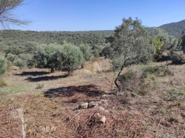 Terreno Agricola ou Rústico para Venda em Escalos de Cima e Lousa