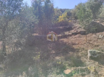 Terreno Agricola ou Rústico para Venda em Escalos de Cima e Lousa