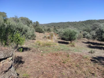 Terreno Agricola ou Rústico para Venda em Escalos de Cima e Lousa