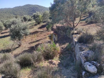 Terreno Agricola ou Rústico para Venda em Escalos de Cima e Lousa