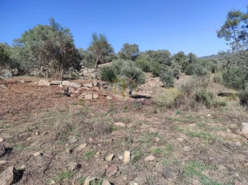 Terreno Agricola ou Rústico para Venda em Escalos de Cima e Lousa