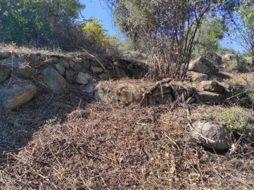 Terreno Agricola ou Rústico para Venda em Escalos de Cima e Lousa