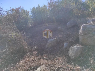 Terreno Agricola ou Rústico para Venda em Escalos de Cima e Lousa