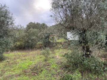 Terreno Agricola ou Rústico para Venda em Escalos de Cima e Lousa