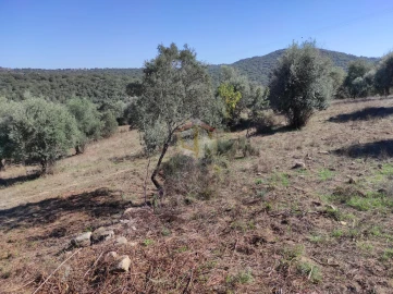 Terreno Agricola ou Rústico para Venda em Escalos de Cima e Lousa