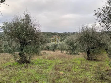 Terreno Agricola ou Rústico para Venda em Escalos de Cima e Lousa