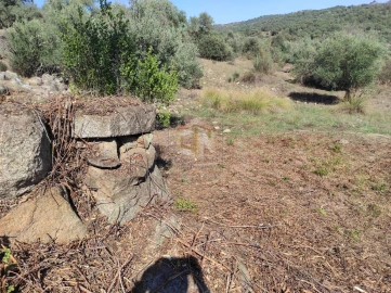 Terreno Agricola ou Rústico para Venda em Escalos de Cima e Lousa