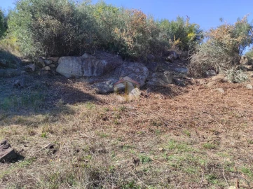 Terreno Agricola ou Rústico para Venda em Escalos de Cima e Lousa