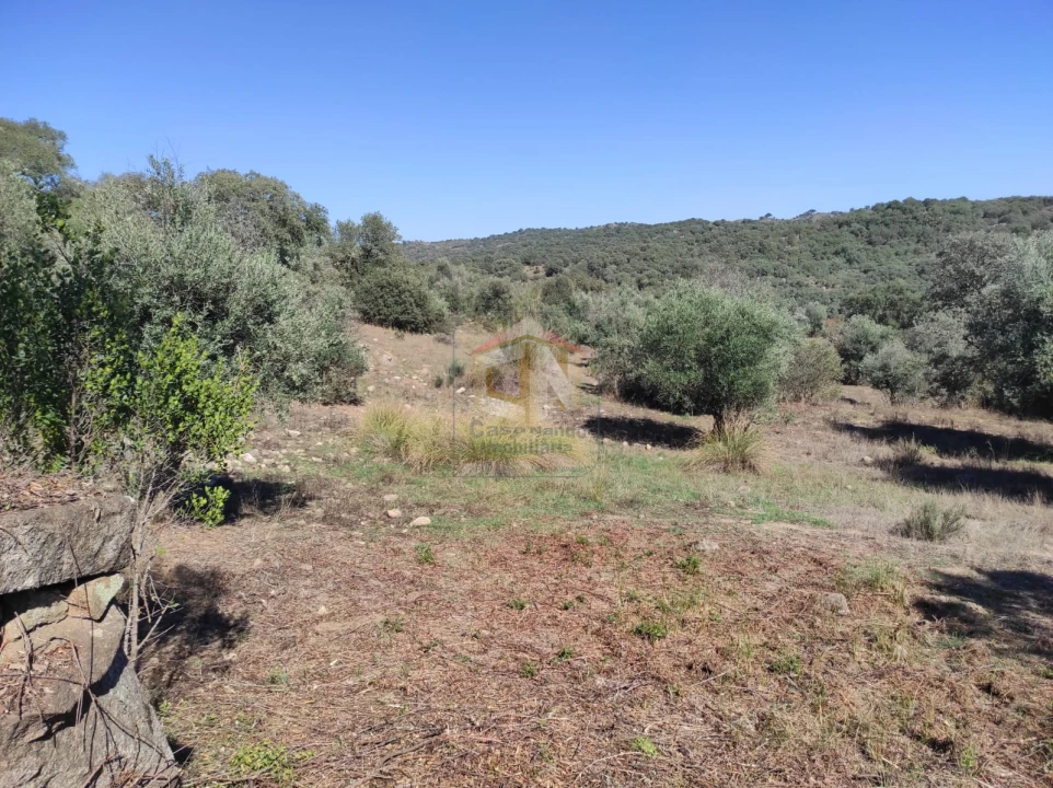 Terreno Agricola ou Rústico para Venda em Escalos de Cima e Lousa Foto 19