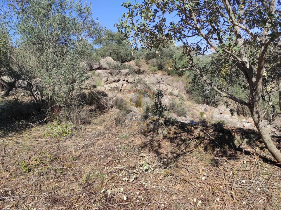 Terreno Agricola ou Rústico para Venda em Escalos de Cima e Lousa Foto 12