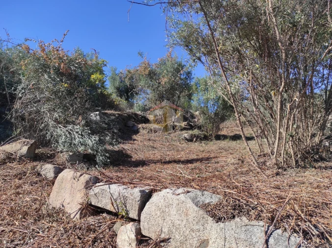 Terreno Agricola ou Rústico para Venda em Escalos de Cima e Lousa Foto 13