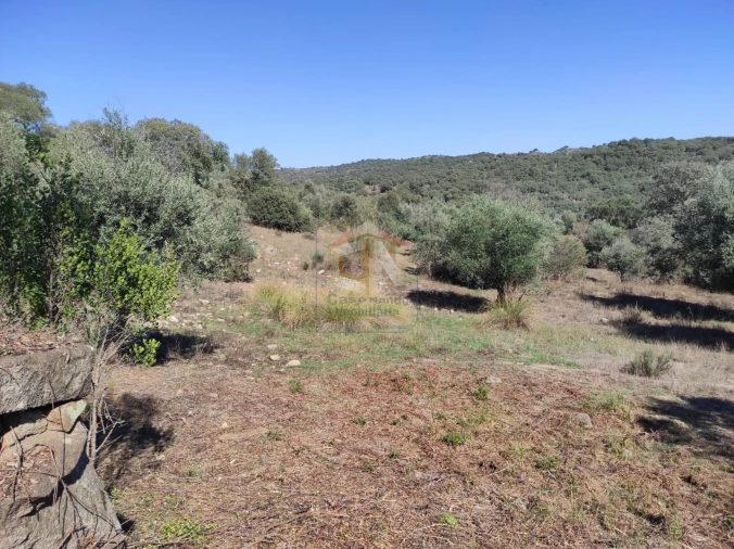 Terreno Agricola ou Rústico para Venda em Escalos de Cima e Lousa Foto 19