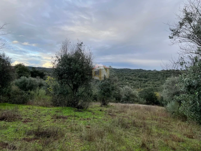 Terreno Agricola ou Rústico para Venda em Escalos de Cima e Lousa Foto 27