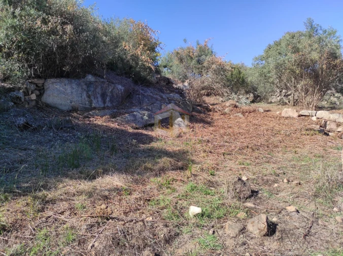 Terreno Agricola ou Rústico para Venda em Escalos de Cima e Lousa Foto 23