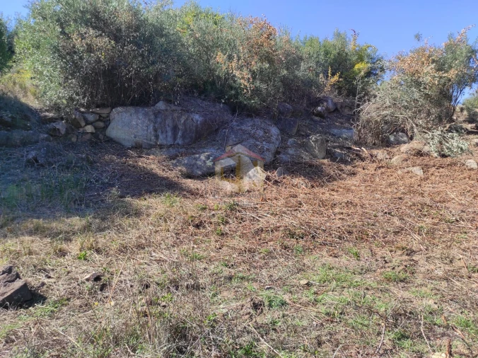 Terreno Agricola ou Rústico para Venda em Escalos de Cima e Lousa Foto 9