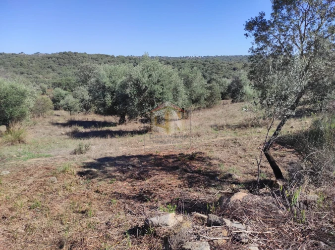 Terreno Agricola ou Rústico para Venda em Escalos de Cima e Lousa Foto 17