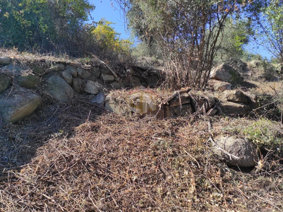 Terreno Agricola ou Rústico para Venda em Escalos de Cima e Lousa Foto 10