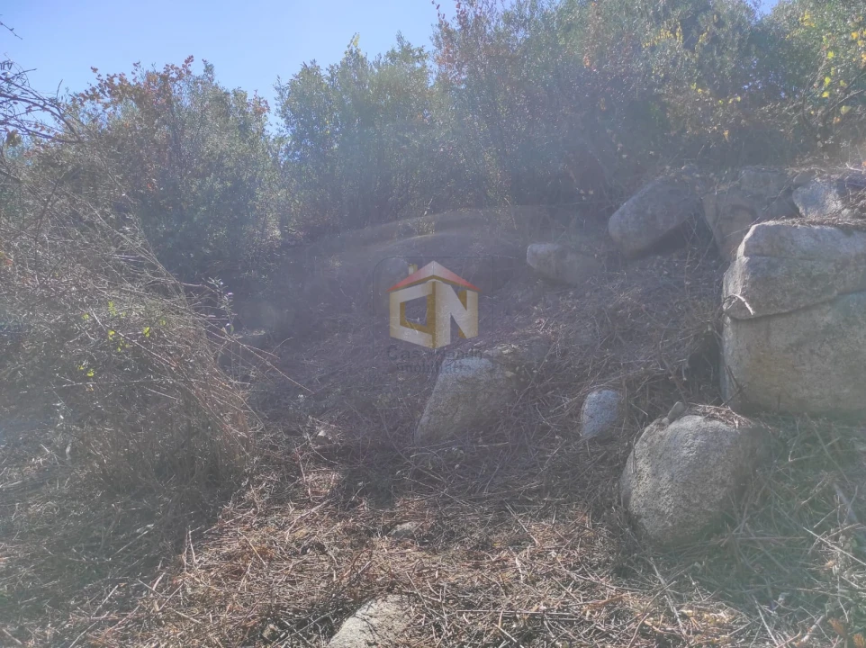Terreno Agricola ou Rústico para Venda em Escalos de Cima e Lousa Foto 3