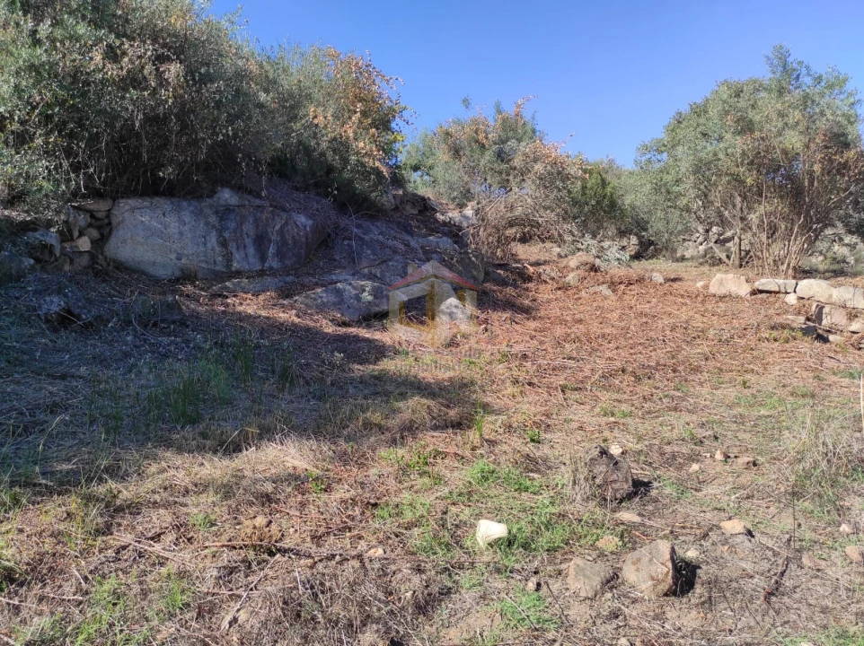 Terreno Agricola ou Rústico para Venda em Escalos de Cima e Lousa Foto 23