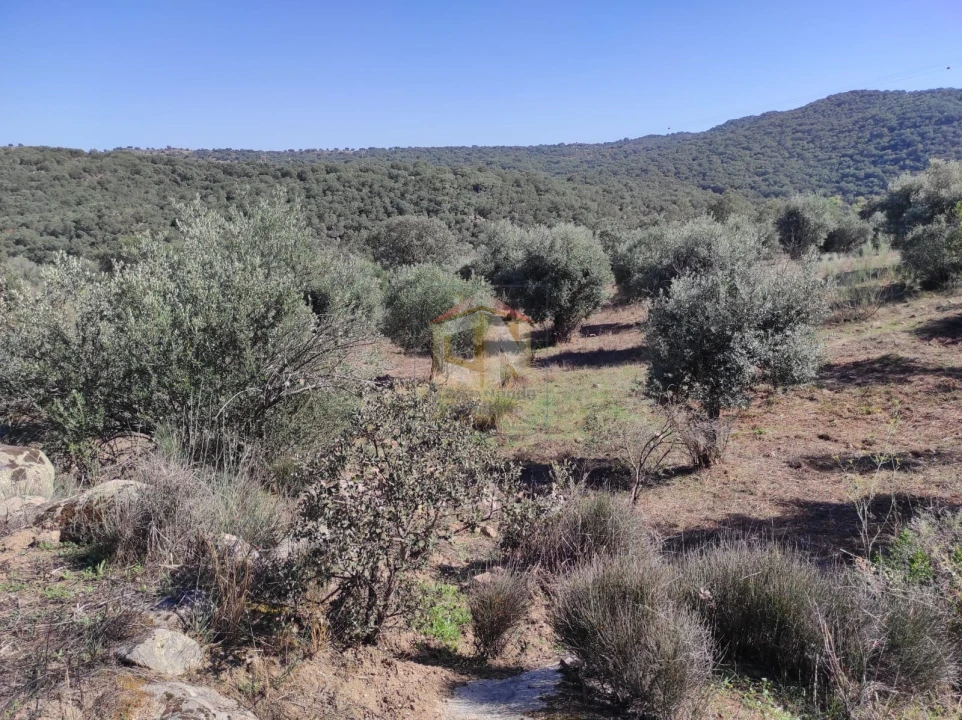 Terreno Agricola ou Rústico para Venda em Escalos de Cima e Lousa Foto 5