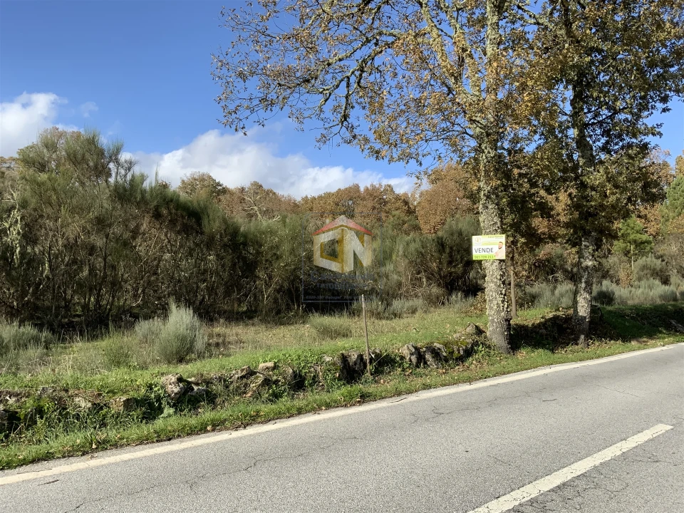 Terreno Agricola ou Rústico para Venda em Baraçal Foto 1