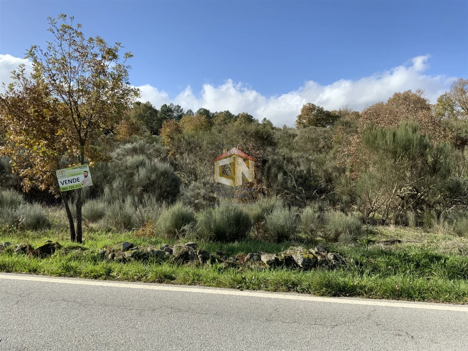 Terreno Agricola ou Rústico para Venda em Baraçal Foto 3