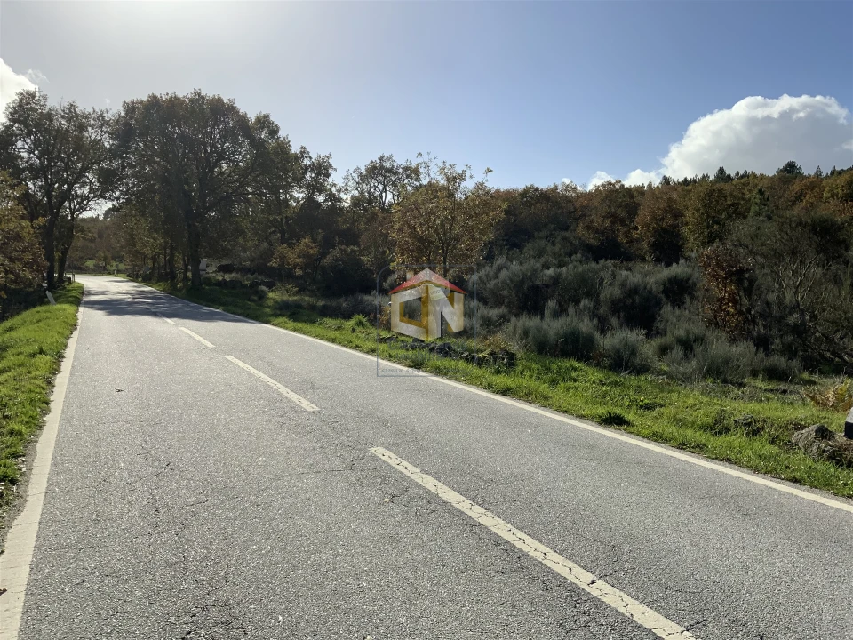 Terreno Agricola ou Rústico para Venda em Baraçal Foto 2