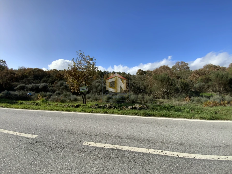 Terreno Agricola ou Rústico para Venda em Baraçal Foto 4