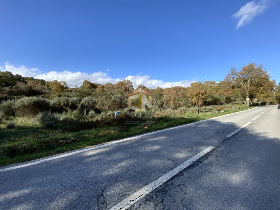 Terreno Agricola ou Rústico para Venda em Baraçal Foto 7