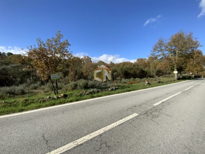 Terreno Agricola ou Rústico para Venda em Baraçal Foto 8