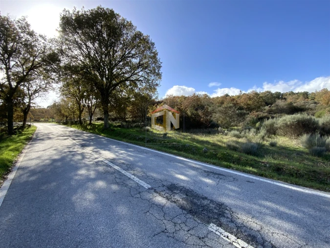 Terreno Agricola ou Rústico para Venda em Baraçal Foto 6
