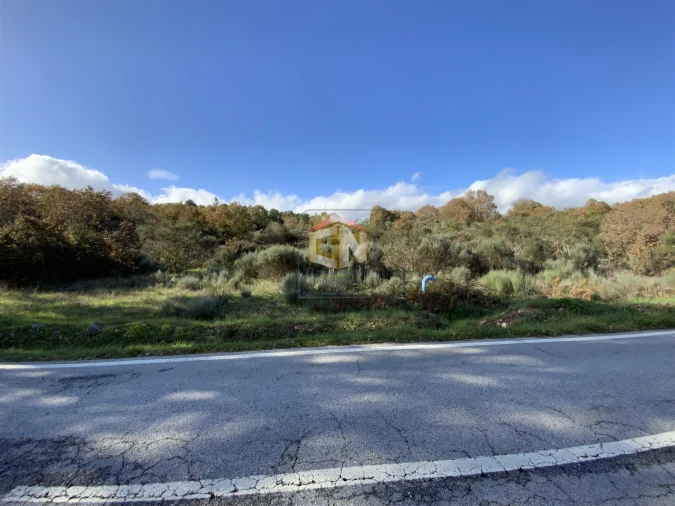 Terreno Agricola ou Rústico para Venda em Baraçal Foto 5