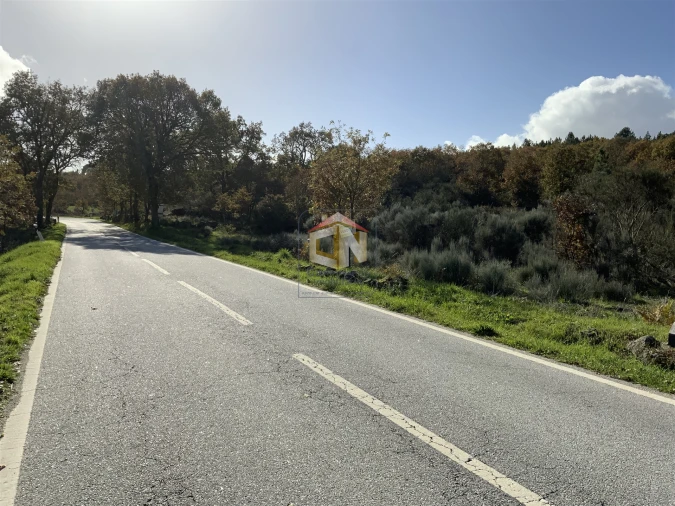 Terreno Agricola ou Rústico para Venda em Baraçal Foto 2
