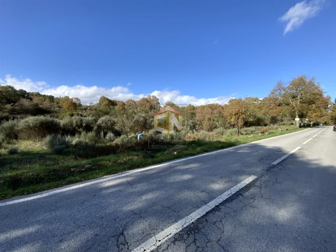 Terreno Agricola ou Rústico para Venda em Baraçal Foto 7