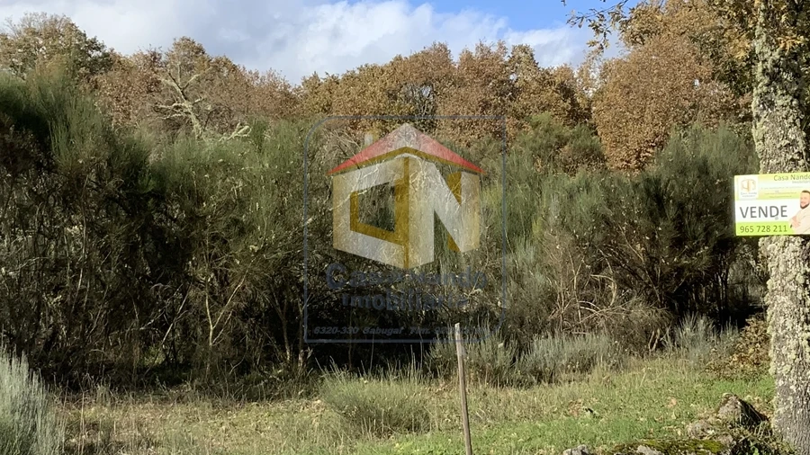 Terreno Agricola ou Rústico para Venda em Baraçal