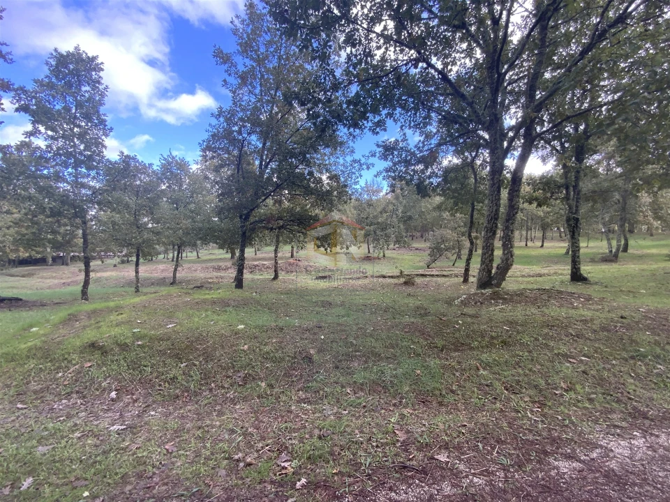Terreno para Venda em Sabugal e Aldeia de Santo António Foto 9