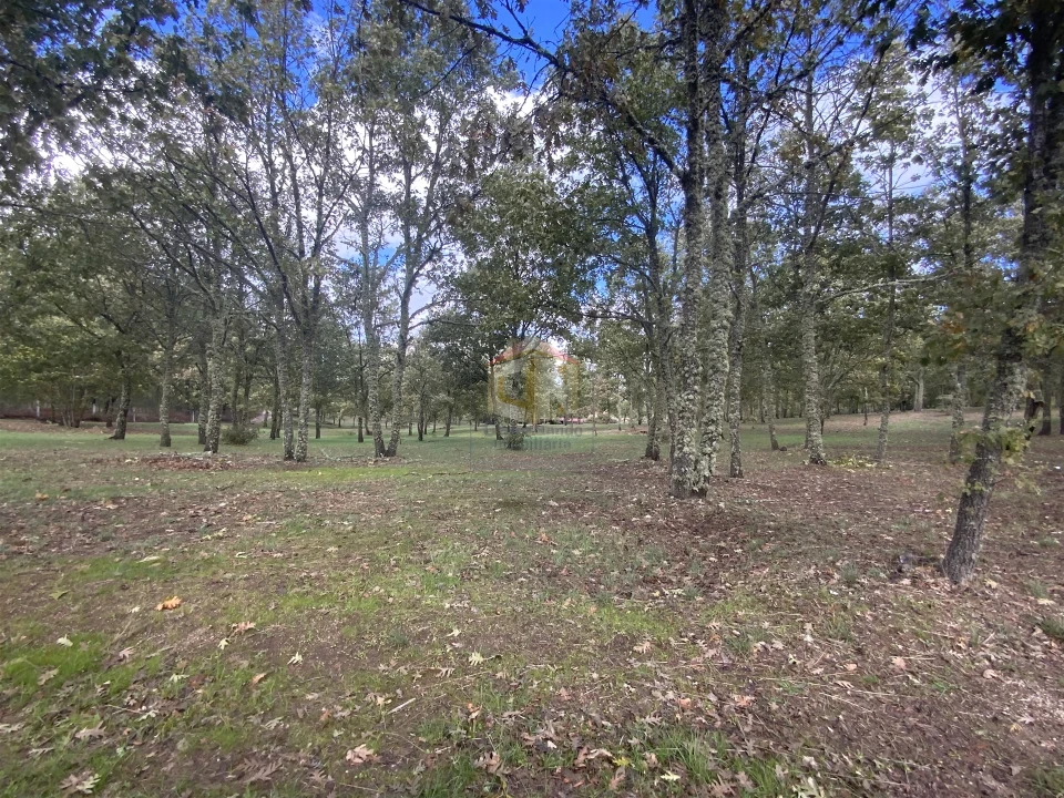 Terreno para Venda em Sabugal e Aldeia de Santo António Foto 11