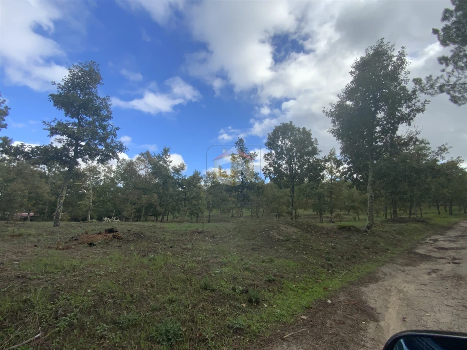 Terreno para Venda em Sabugal e Aldeia de Santo António Foto 8
