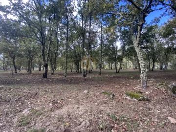 Terreno para Venda em Sabugal e Aldeia de Santo António