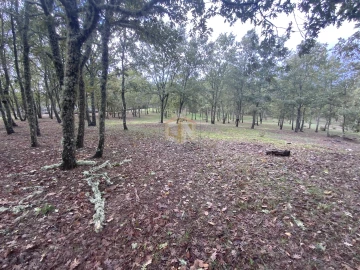Terreno para Venda em Sabugal e Aldeia de Santo António
