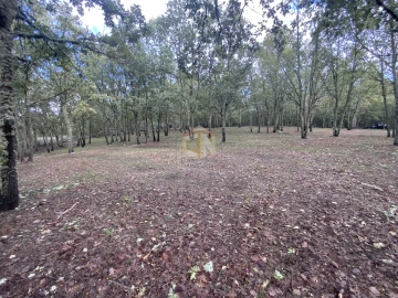 Terreno para Venda em Sabugal e Aldeia de Santo António